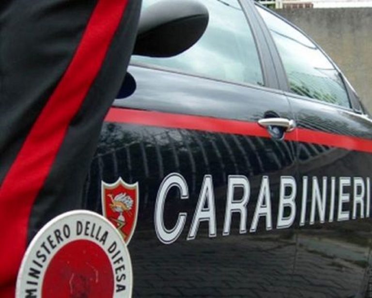 Pavia, accoltella la madre e fugge: fermata 14enne