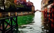 Dalla laguna di Venezia spunta un cadavere