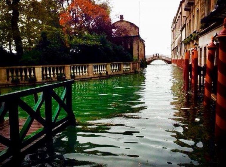 Dalla laguna di Venezia spunta un cadavere