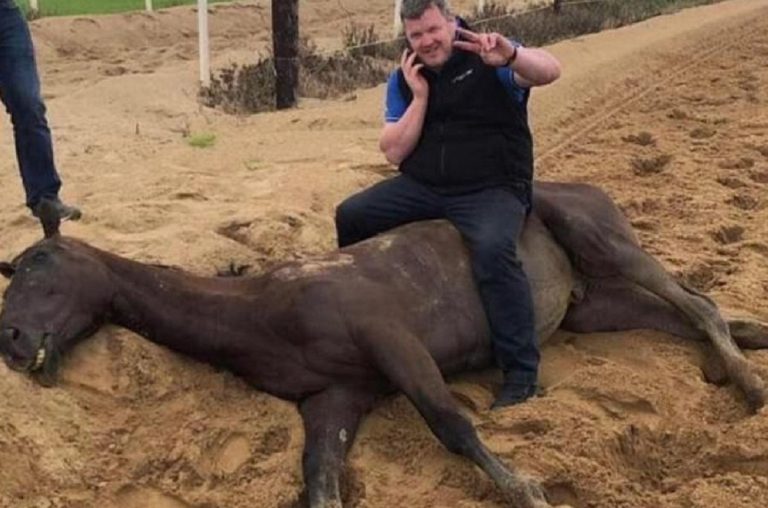 fantino su cavallo morto