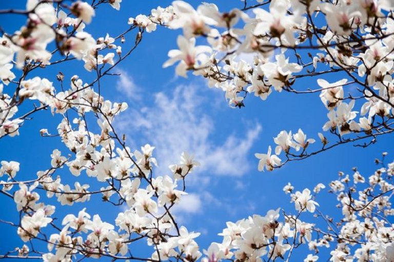 equinozio di primavera