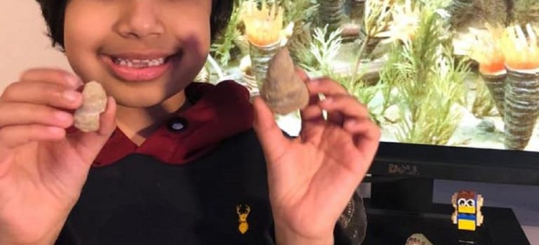 Scava in giardino e trova un fossile di 488 milioni di anni