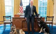 Joe Biden e i suoi cani