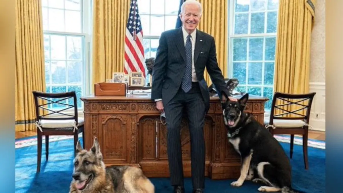 Joe Biden e i suoi cani