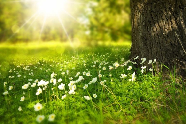 Meteo 1 aprile caldo anomalo
