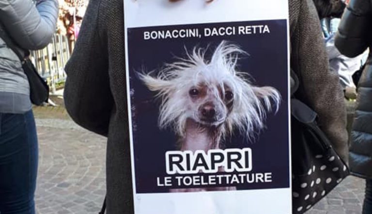 Toelettatori