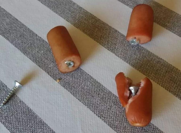 Uccideva cani con bocconi pieni di chiodi