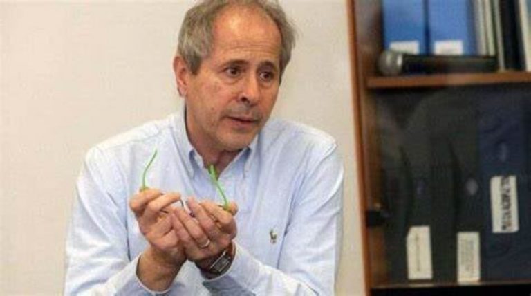 Andrea Crisanti