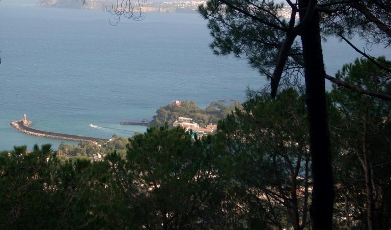 Splendido scorcio del Bosco della Maddalena