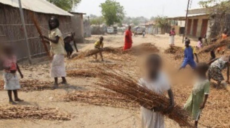 Niger incendio scuola