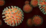 Immagine elaborata del coronavirus