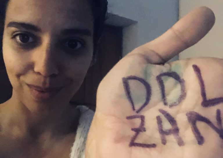 ddl zan