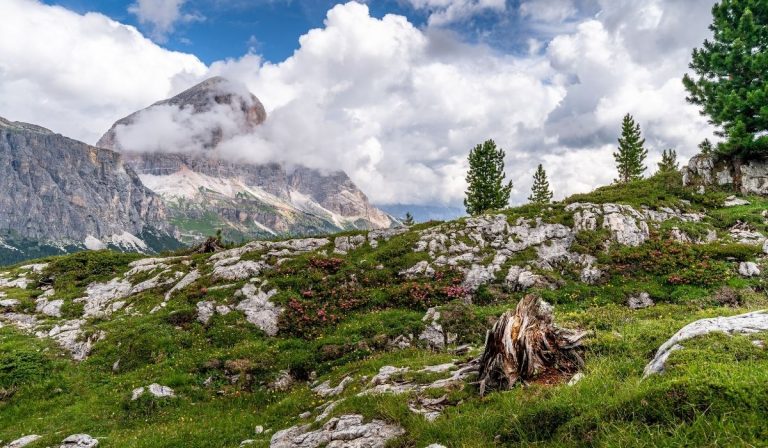 Cortina d'Ampezzo vaccinazione turisti