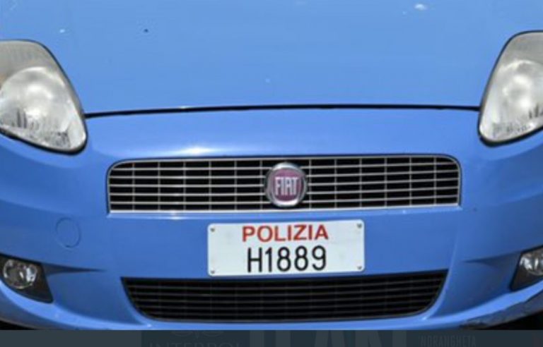Infermiera Rovigo