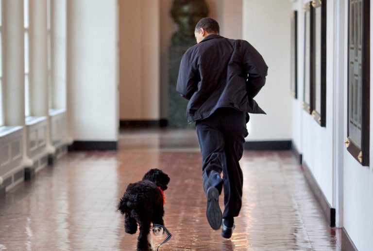 Obama e Bo alla Casa Bianca