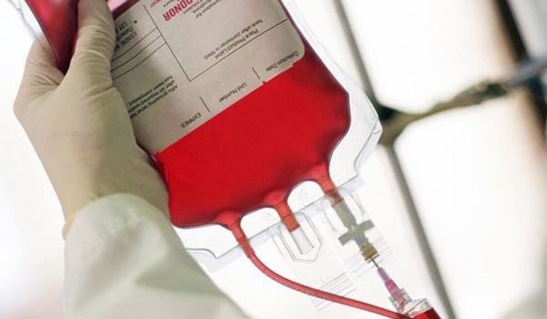 Una sacca di sangue