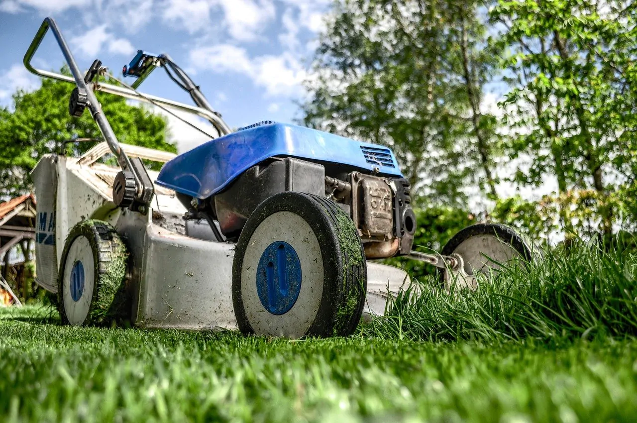 come avere un giardino perfetto