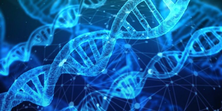 COVID-19 ricerca legame DNA