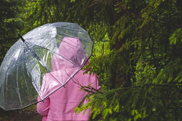 previsioni meteo giovedì 13 maggio 2021