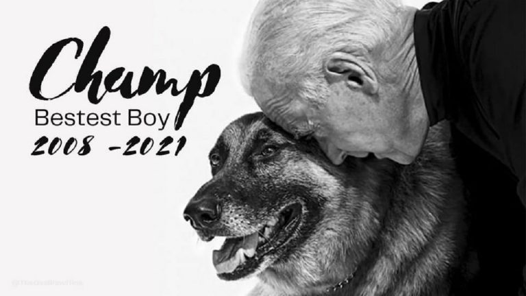 Champ e Biden in una card commemorativa
