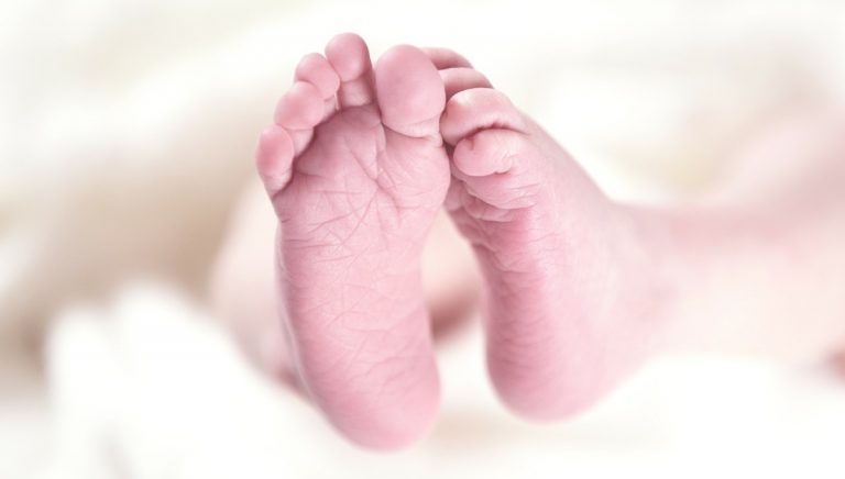 Neonato