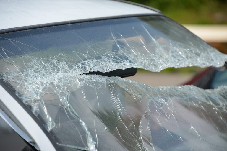 2 agenti forzano l'auto per soccorrere i suoi cani: non c'era alcun pericolo secondo il padrone