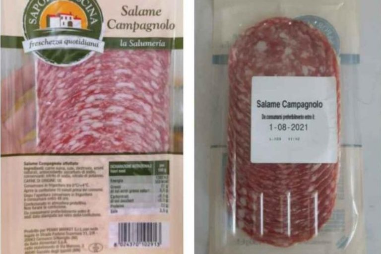 Salmonella