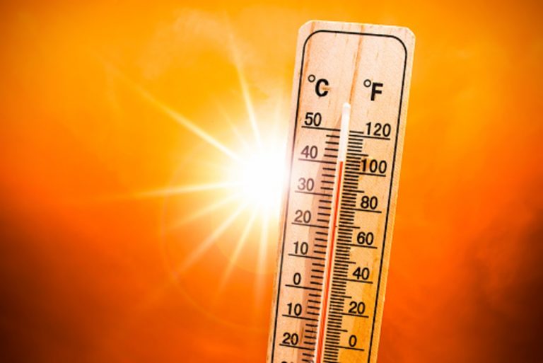 caldo