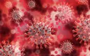 Il coronavirus muta in continuazione