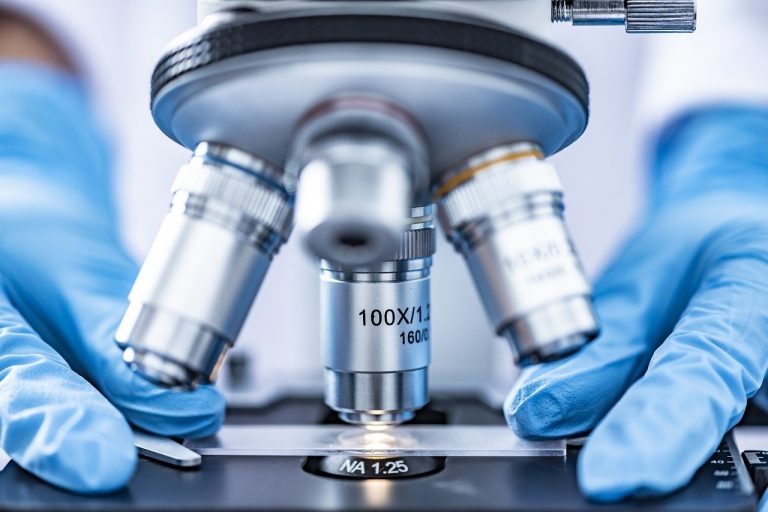 falsifica test dna figlio