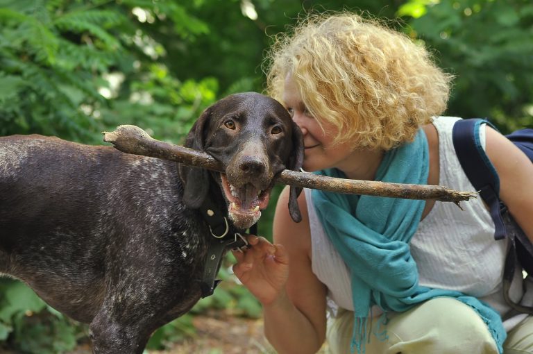 cane con persona