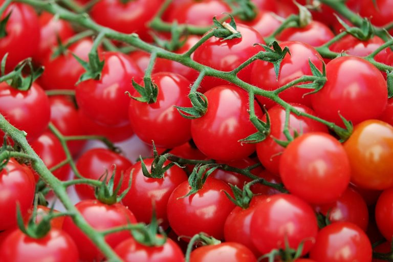 pomodori