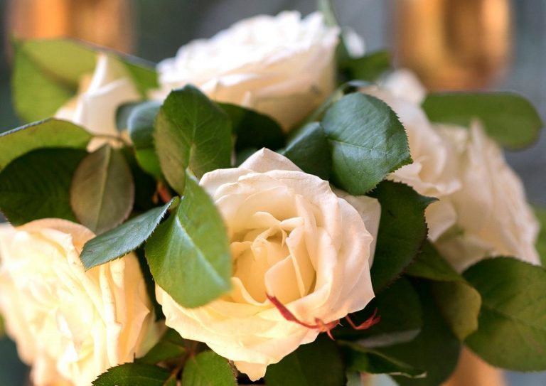 Matrimonio annullato a Padova