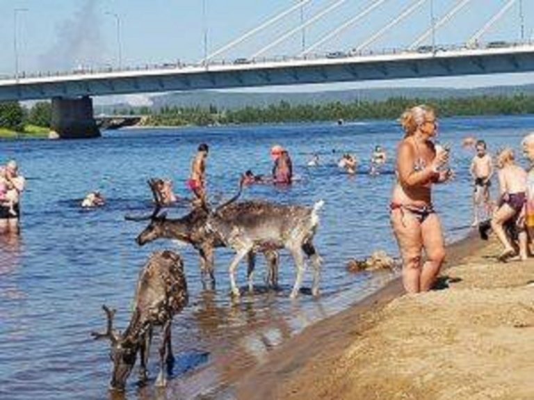 Un'immagine simbolod el caldo che da qualche anno sta interessando la Lapponia