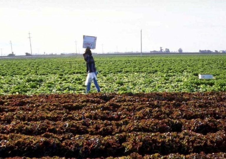 Afragola vieta il lavoro nei campi nelle ore più calde