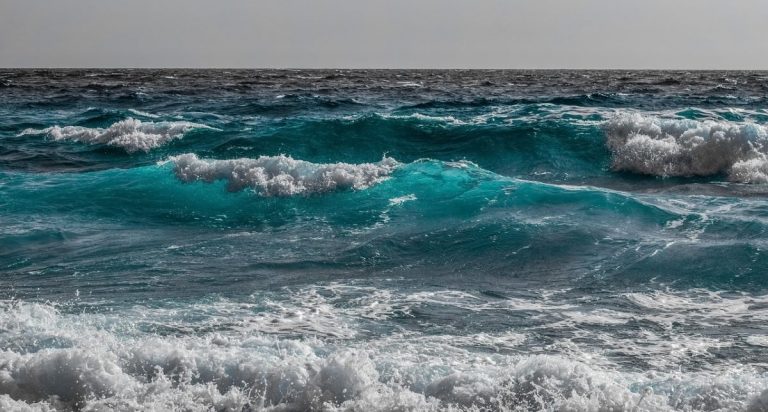 Mare
