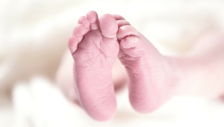 Neonato