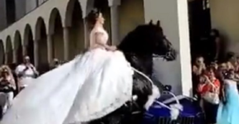 Palmi sposa a cavallo