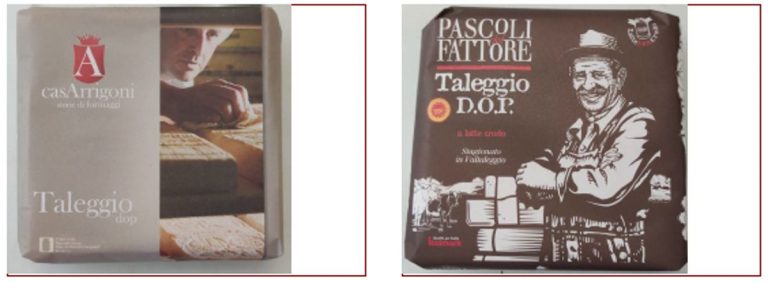 Formaggio taleggio