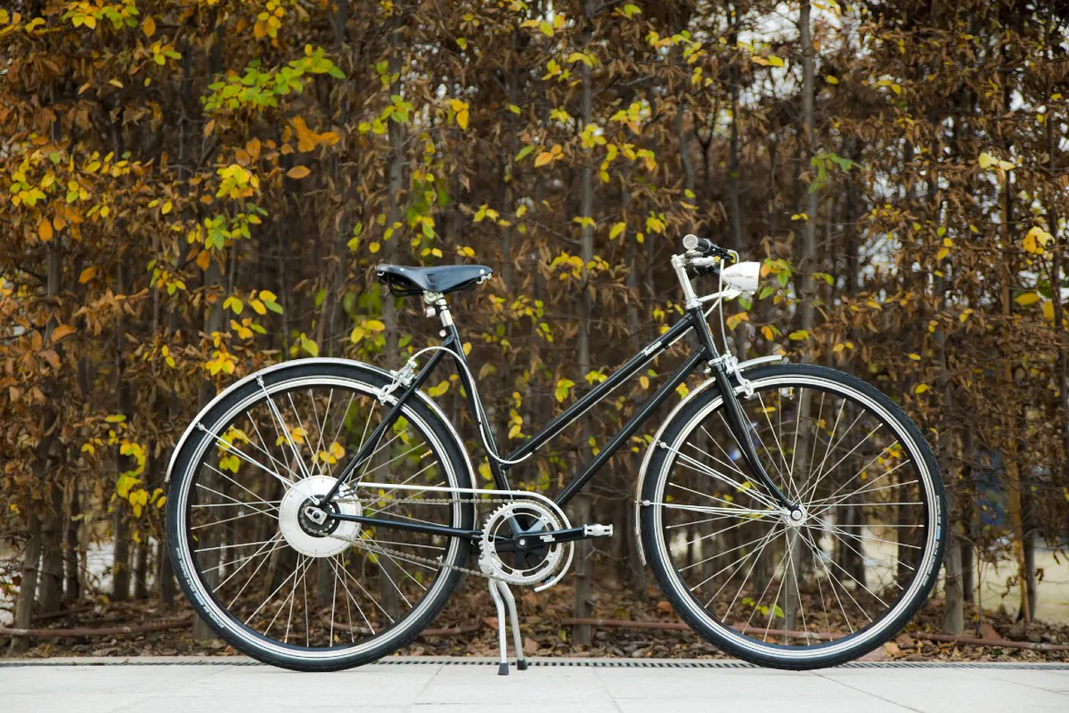 biciclette con pedalata assistita