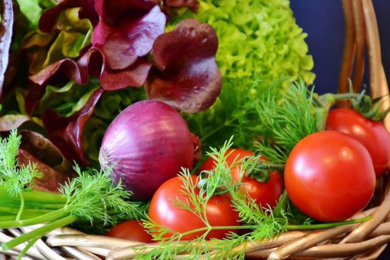 Alimenti