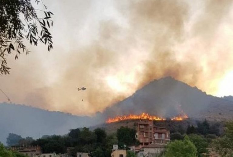 Uno scatto di oggi, 13, agosto, a Monte Catillo