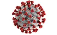 Coronavirus, focolaio ad un matrimonio: 30 positivi e 40 isolati