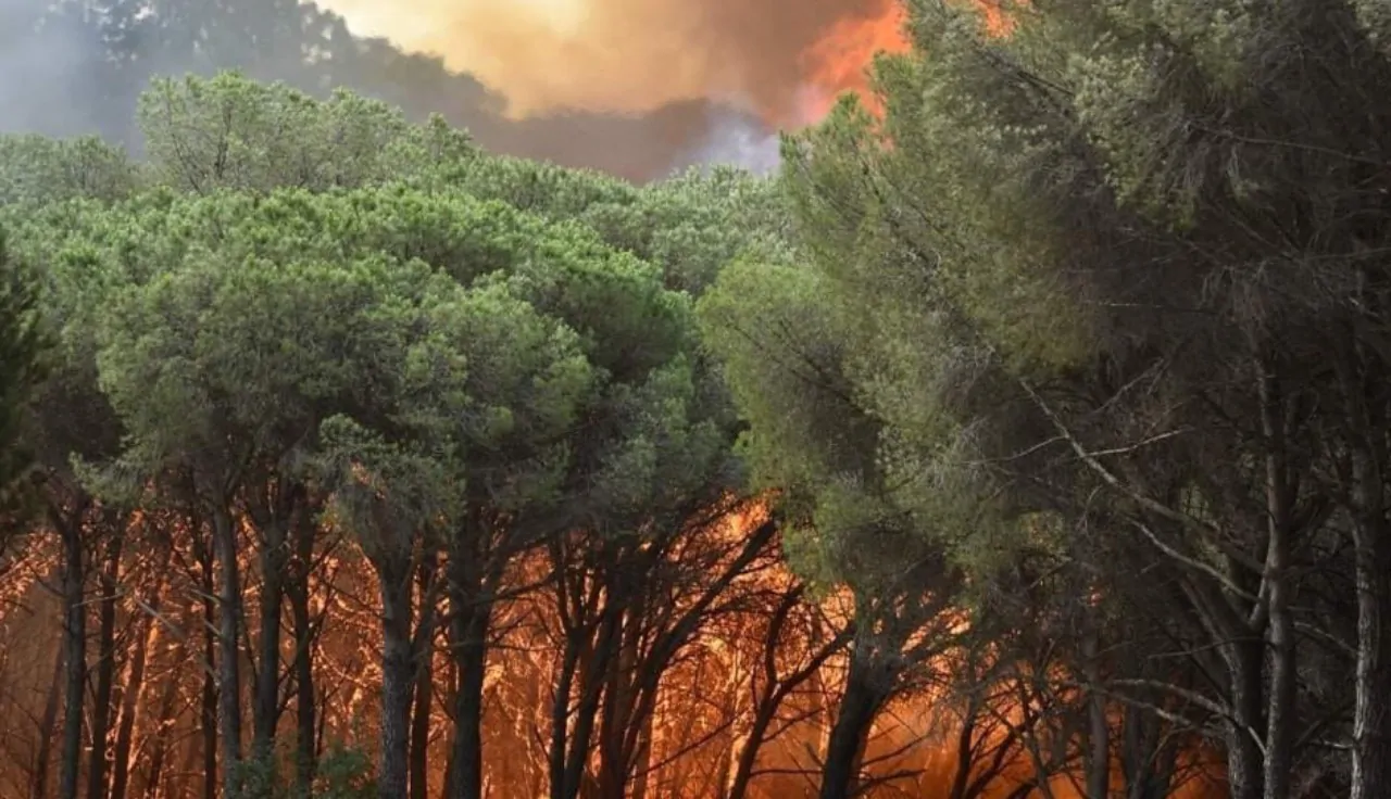 Incendi Calabria e Sicilia