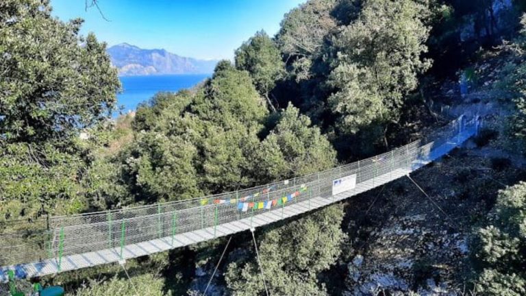 Ponte
