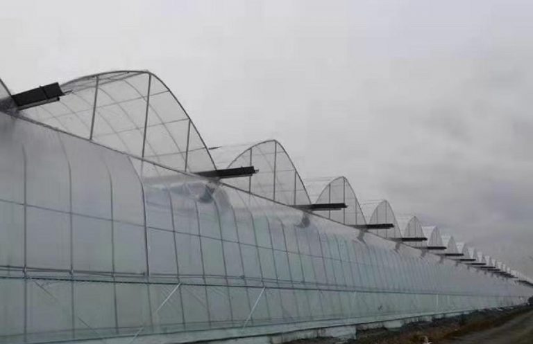 Alcune serre del gruppo Greenhouse