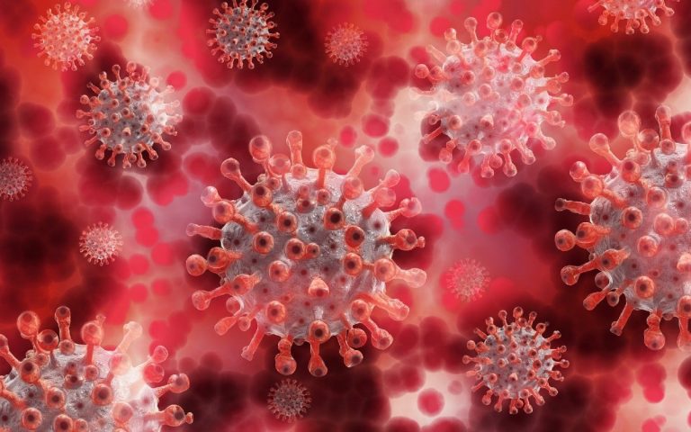 Covid, nuova variante scoperta in Sudafrica: perchè è pericolosa?