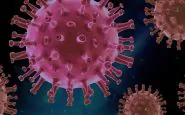 Allarme per una nuova "suoer variante" del coronavirus