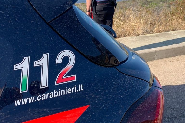 Badante tenta violentare nipote
