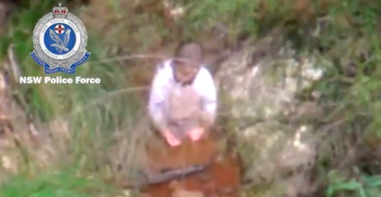 Bambino